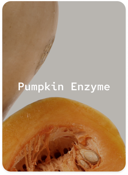 Pumpkin Enzyme