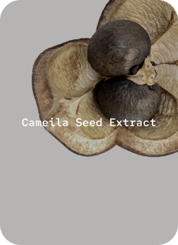 Cameila Seed Extract