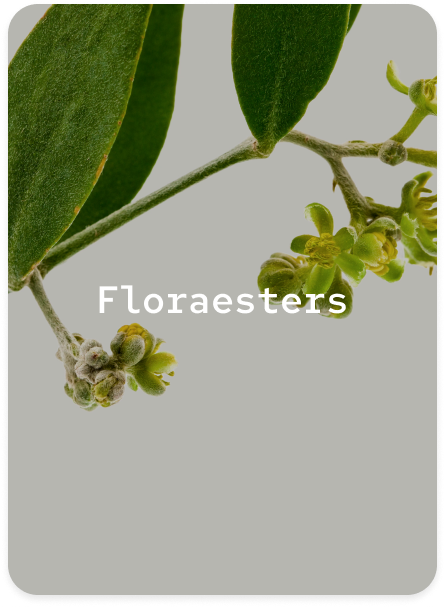 Floraesters