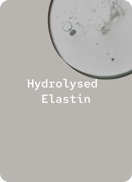 Hydrolysed Elastin