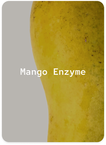 Mango Enzyme