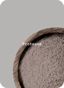 Protease