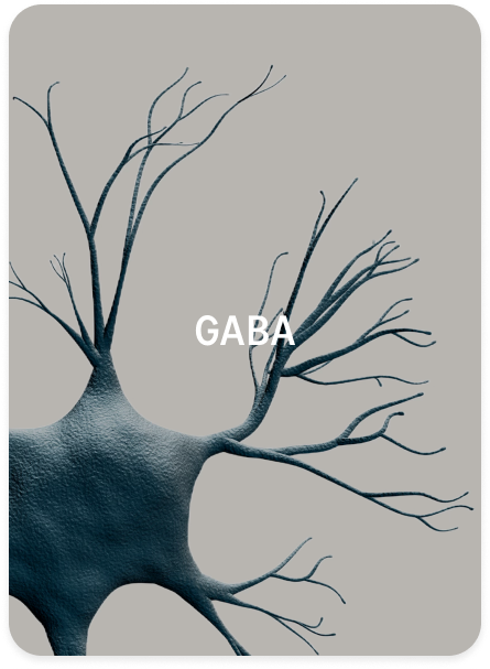 GABA