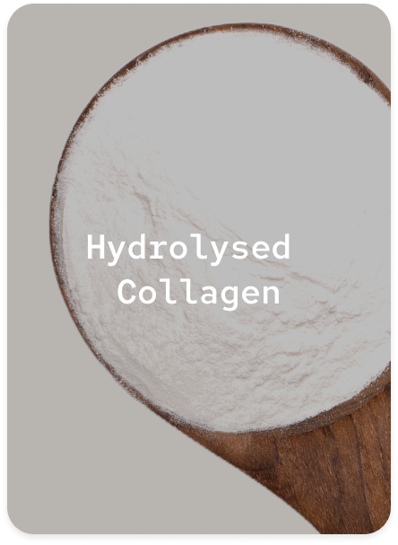 Hydrolysed Collagen