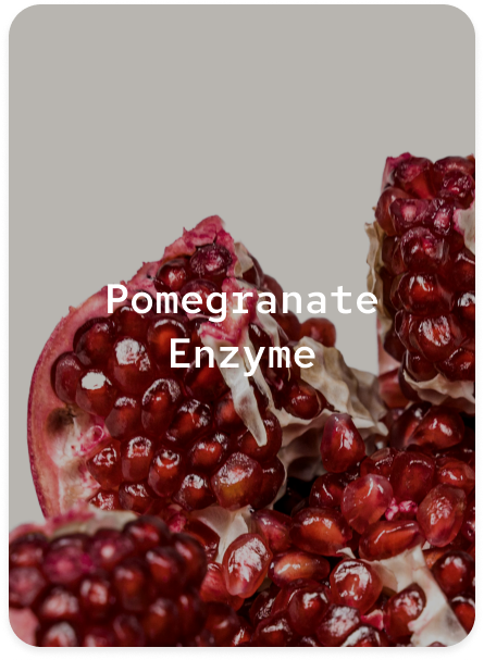 Pomegranate Enzyme