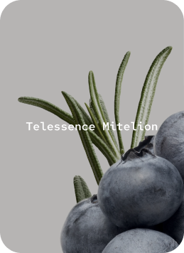 Telessence Mitelion