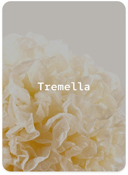 Tremella